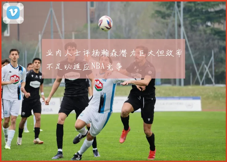 业内人士评杨瀚森潜力巨大但效率不足以适应NBA竞争